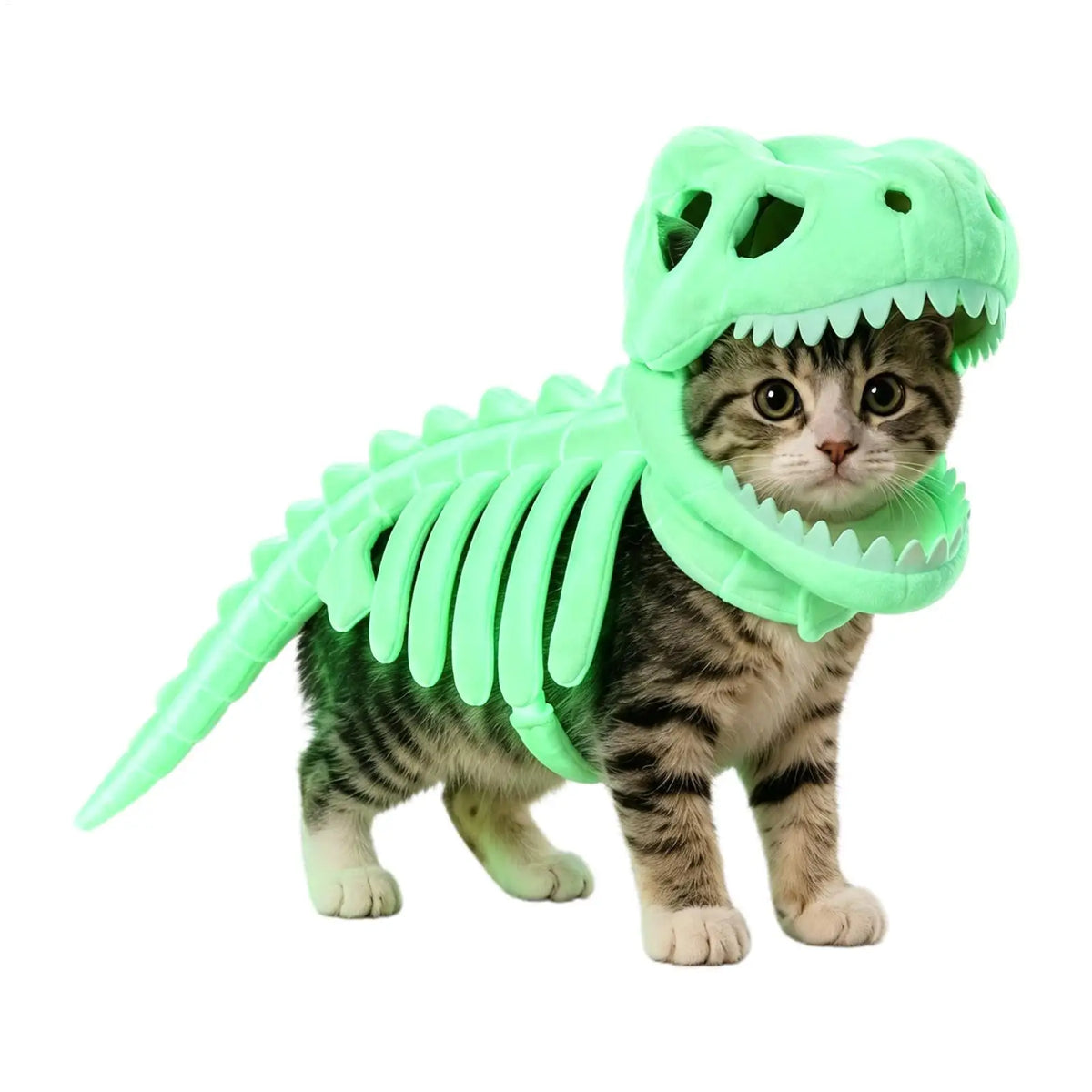 Pet cat dinosaur skeleton Dogs pet role-playing costumes Halloween Glow in Dark Outfits holiday photos props for Home Apartment
